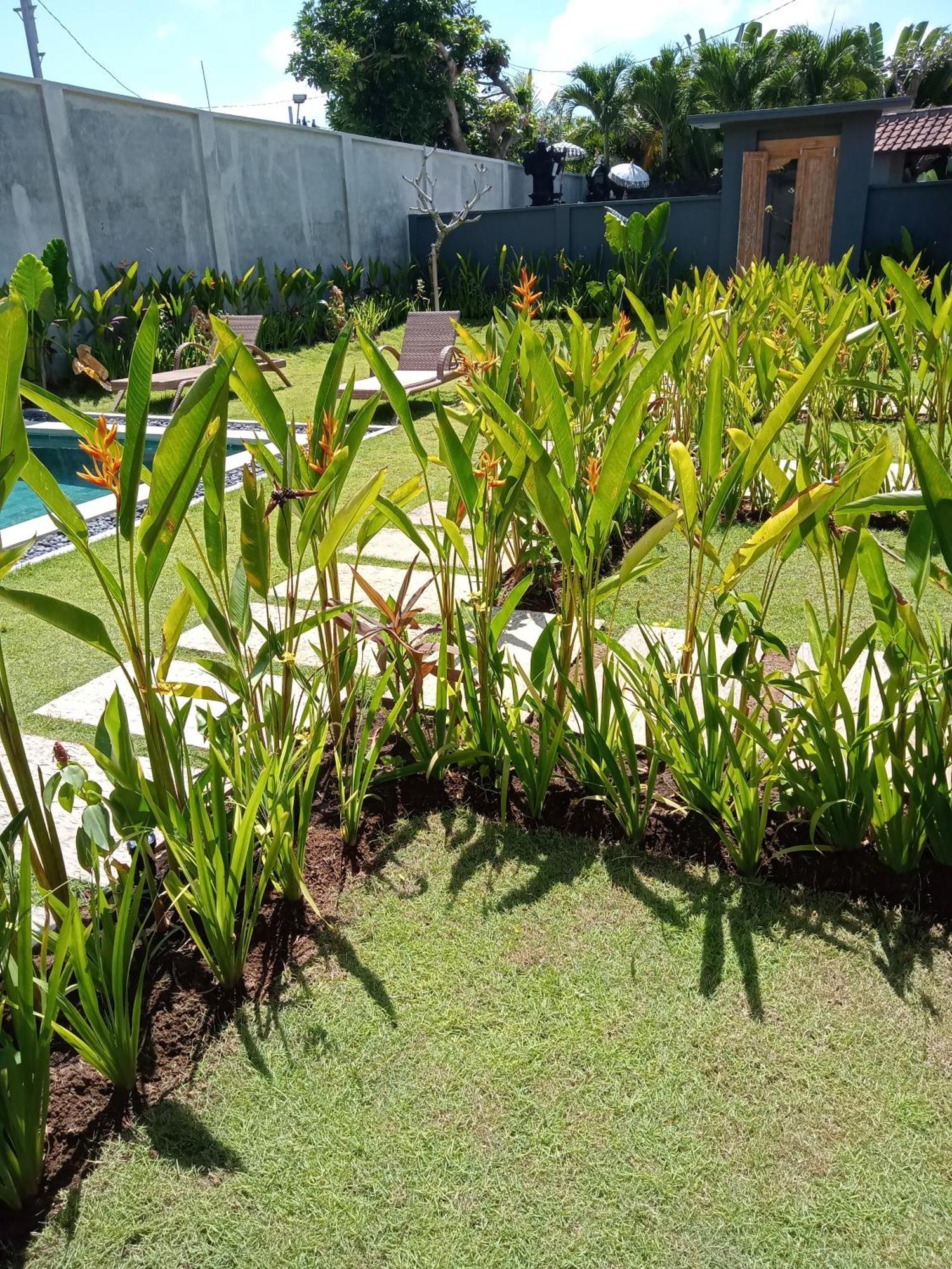 Parama Homestay Balangan 울루와뚜 외부 사진