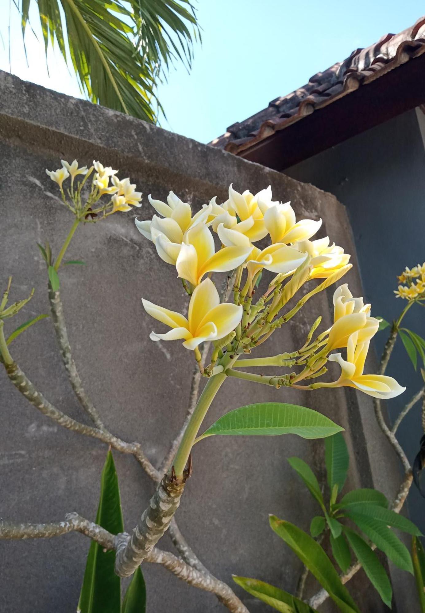 Parama Homestay Balangan 울루와뚜 외부 사진