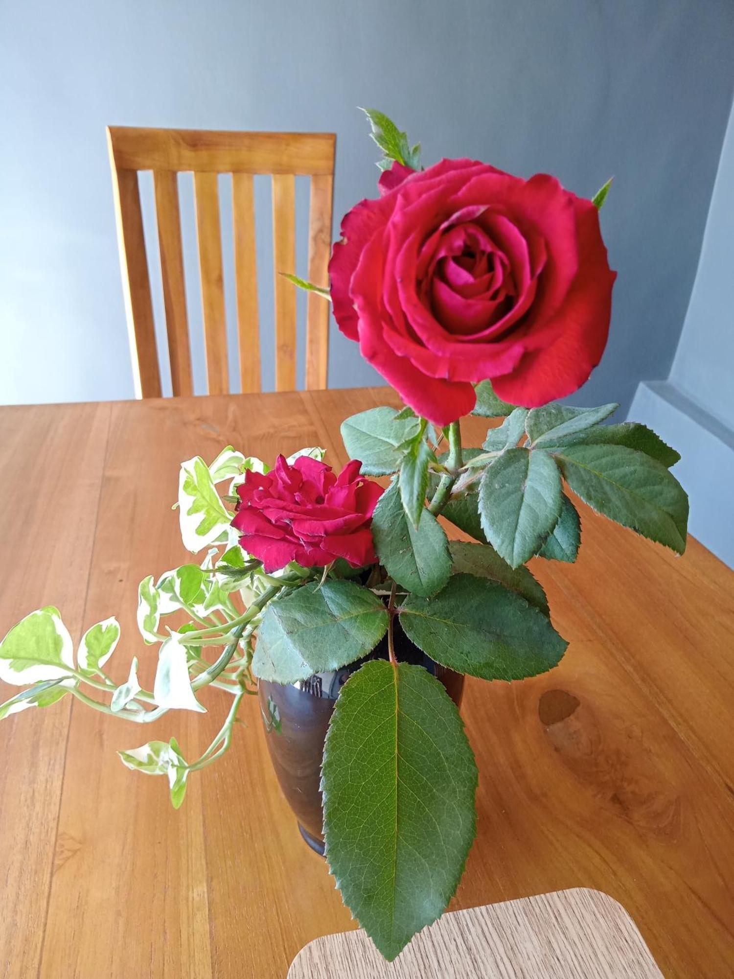 Parama Homestay Balangan 울루와뚜 외부 사진